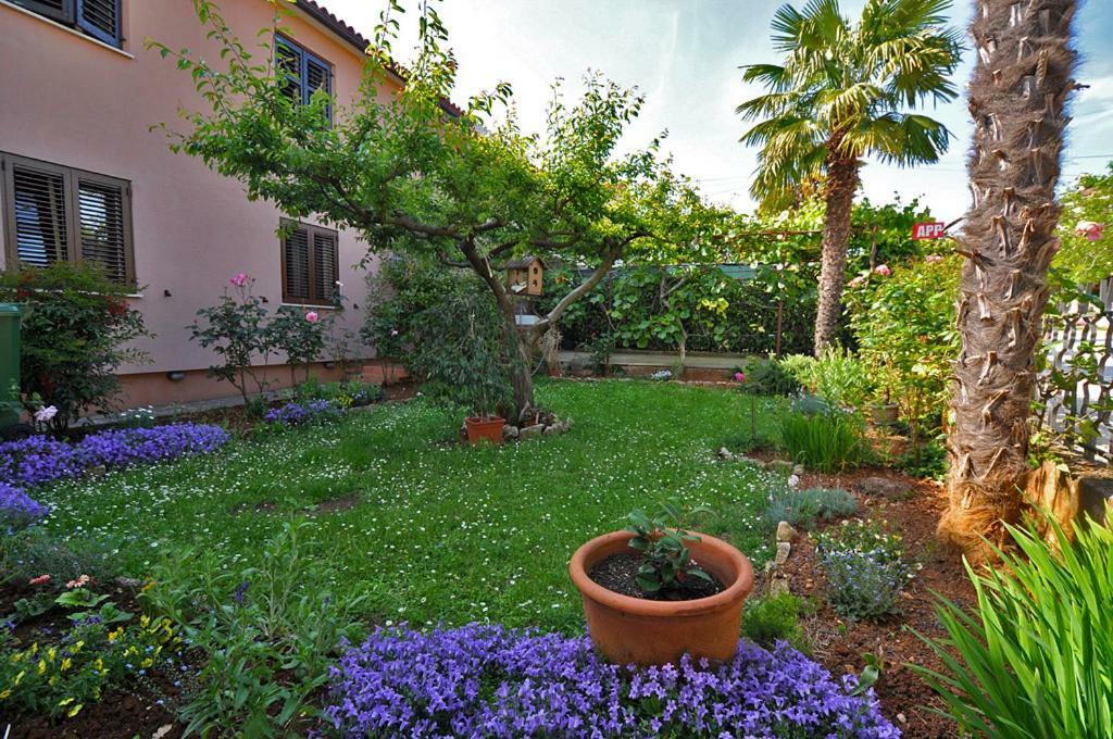 Apartamento Casa Istriana Novigrad Istria Exterior foto